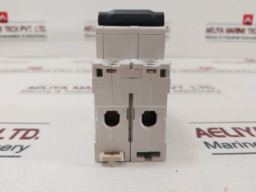 Merlin Gerin C60H 2 Phase Circuit Breaker