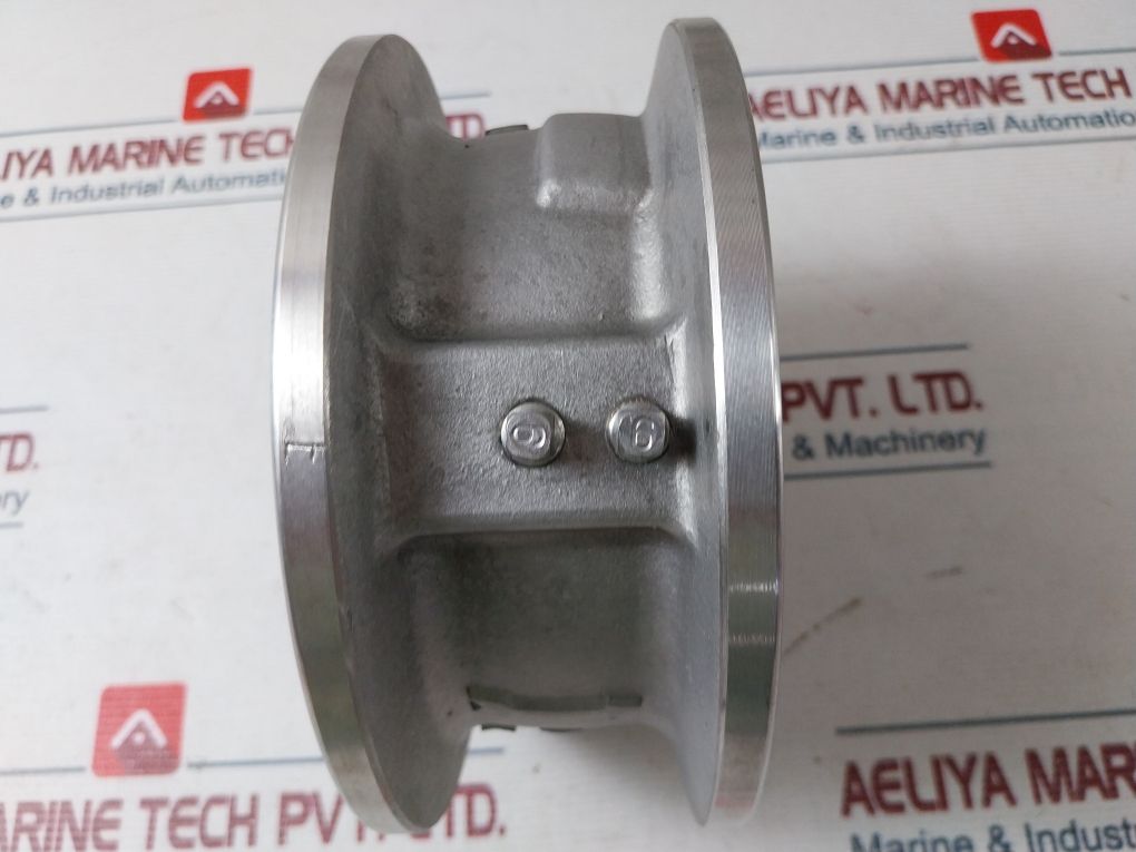 Modentic 4-150 Check Valve Dn 100/Pn 16
