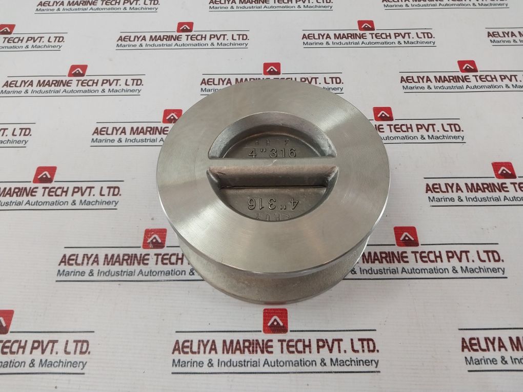 Modentic 4-150 Spring Loaded Check Valve Pn 16