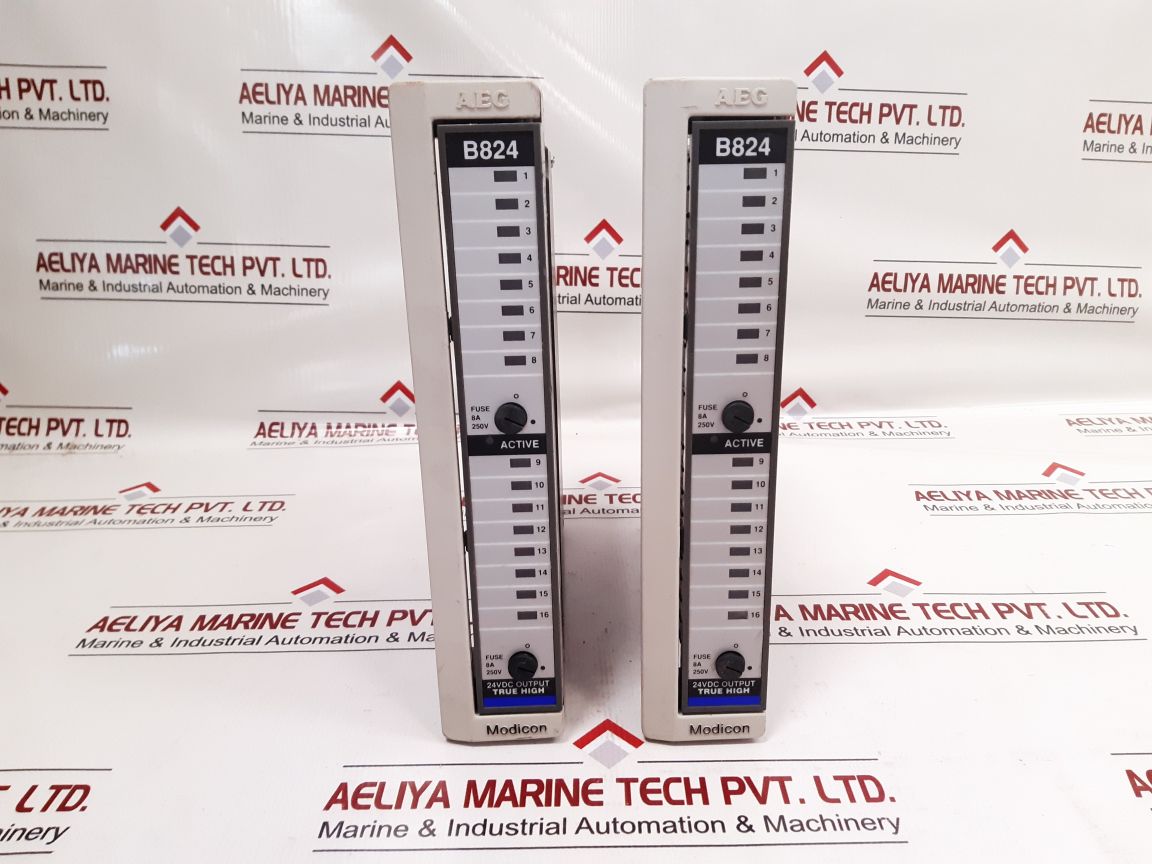 Modicon As-b824-016 Output Module
