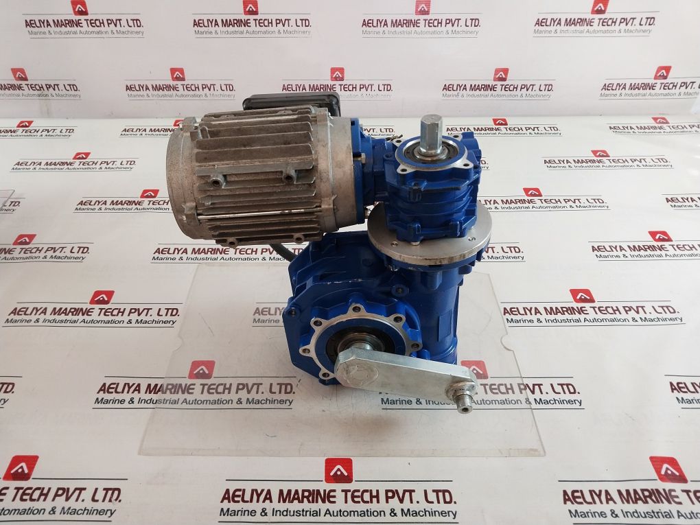 Motovario Gear-motor Ges 5/6 6.2
