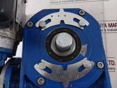 Motovario S71B4 Motor With Spaggiari Trasmissioni 000005712697 / 5670306