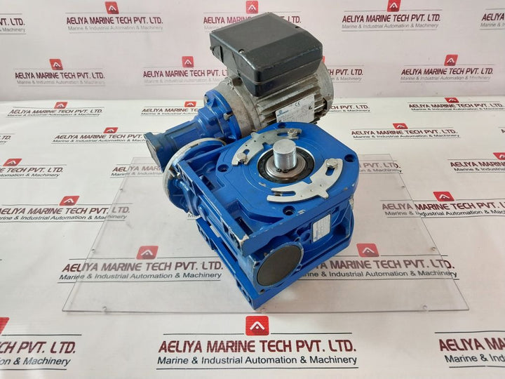 Motovario S71B4 Motors With Spaggiari Trasmissioni 000005712697