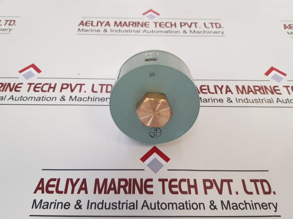 Nakakita Seisakusho Ns953A Gauge Saver