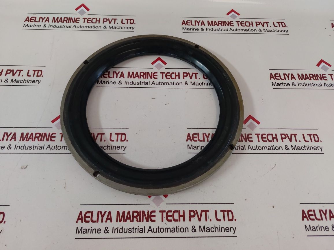 Nakakita Seisakusho Ts-22 Butterfly Valve Seatring 250Mm
