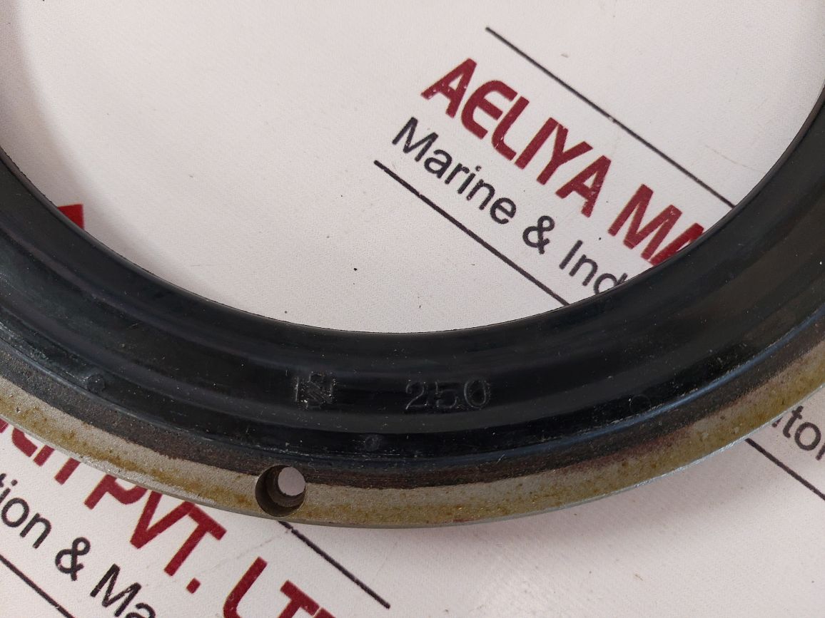 Nakakita Seisakusho Ts-22 Butterfly Valve Seatring 250Mm