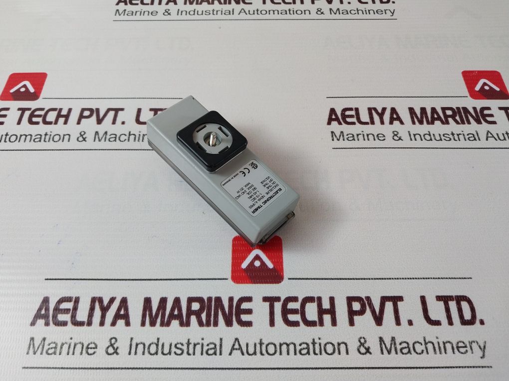 Nema 4/Ip65 Electronic Timer