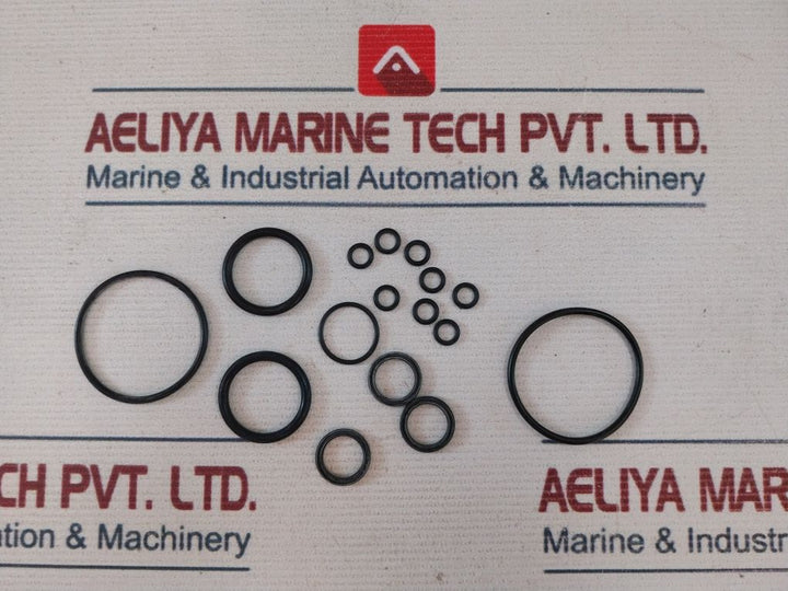 Newage Gasket Set With Oil Seal Ring