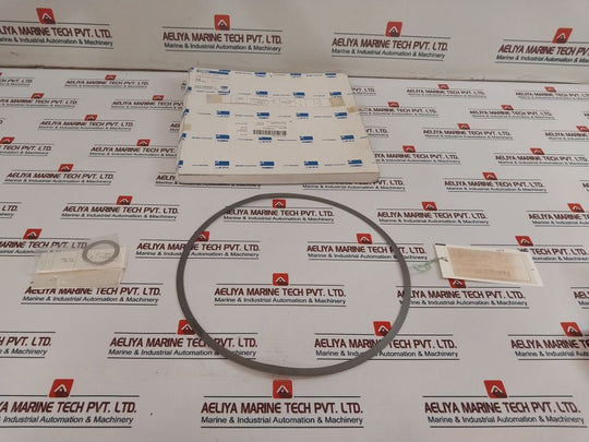 Nichias Sus 304 Plug Gasket F/150 Lb-8”