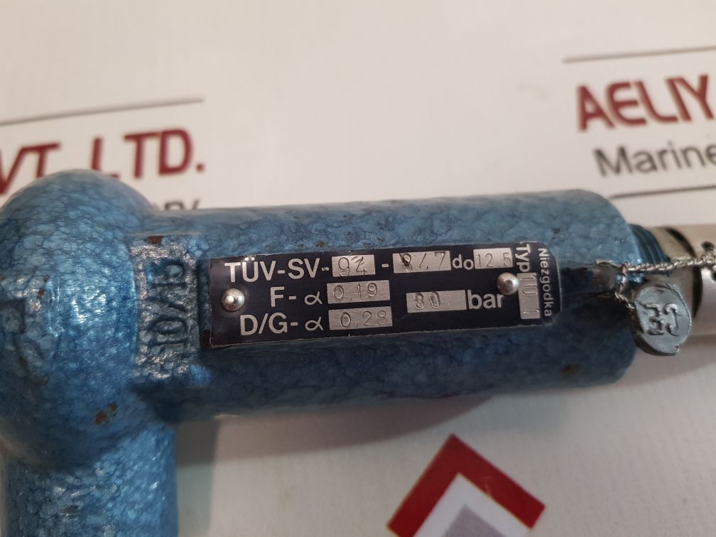 Niezgodka 10.1 Safety Valve