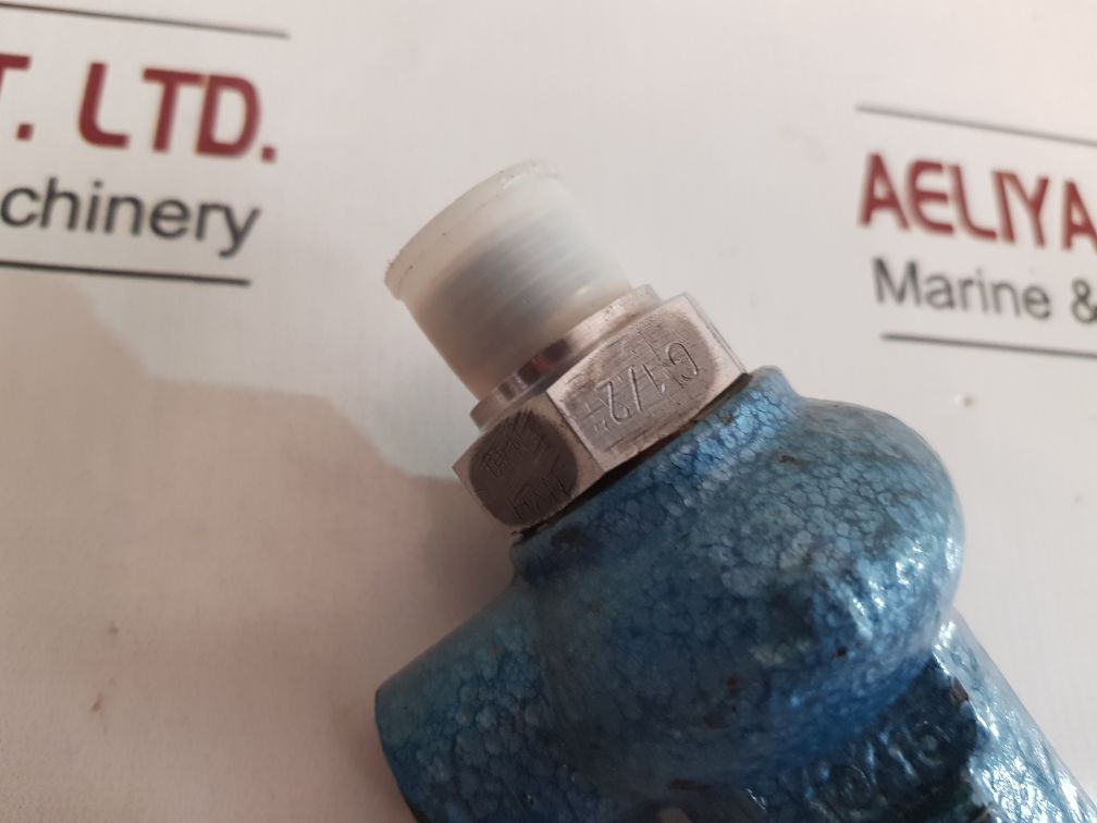 Niezgodka 10.1 Safety Valve