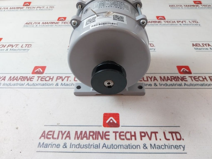 Ningbo Shenling Yvp90-6B Three-phase Asynchronous Motor