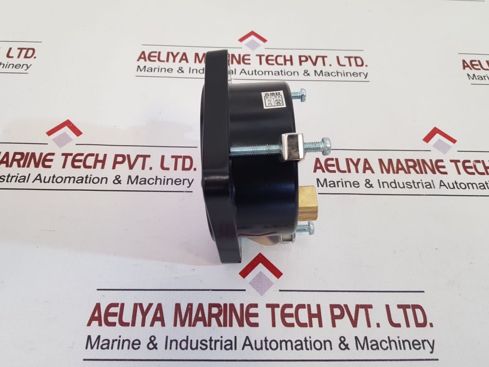 Nks 3594906 Pressure Gauge 0.2~1 Kgf/Cm2