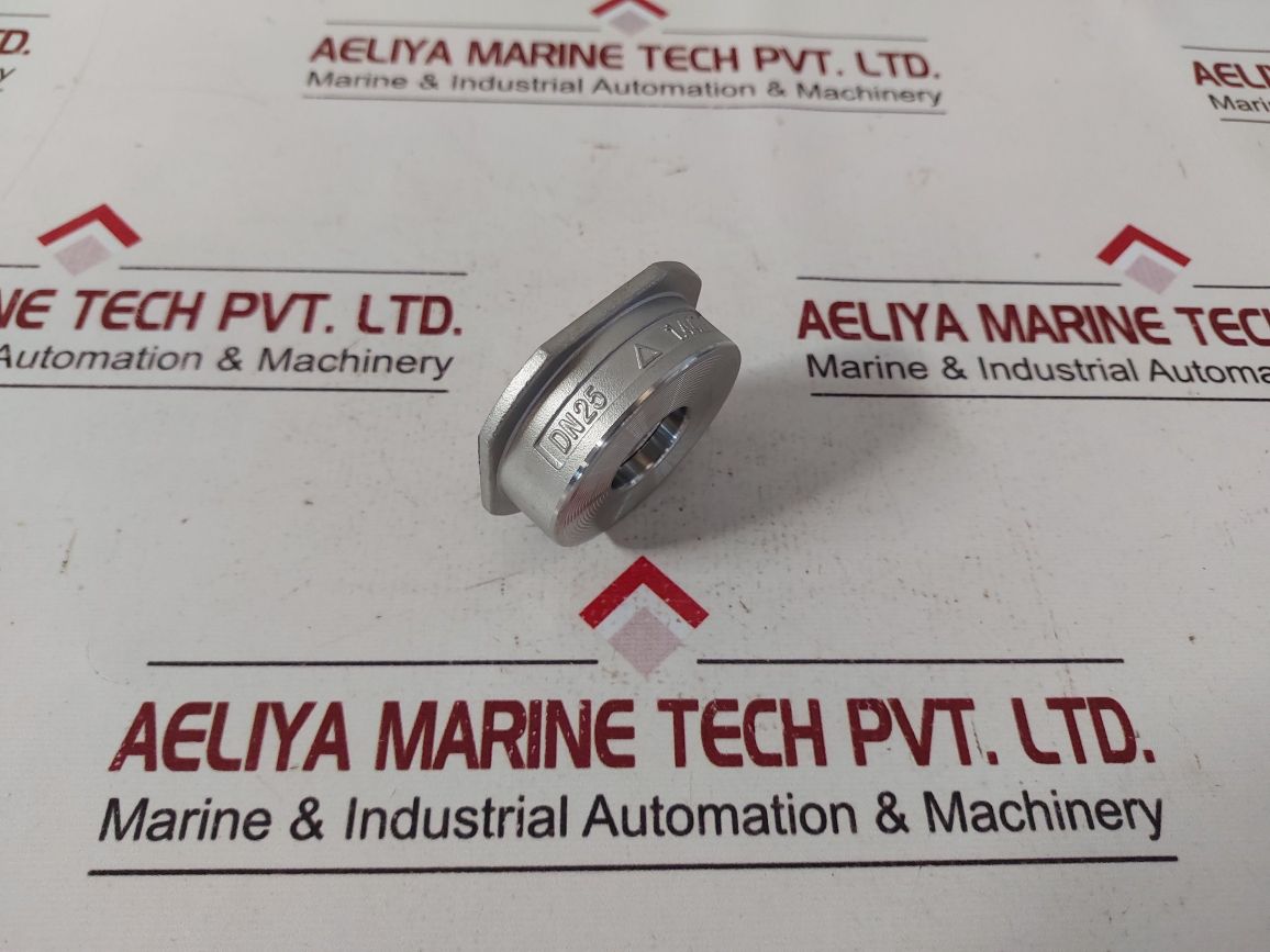Pn40 Cf8M Non Return Valve Dn25
