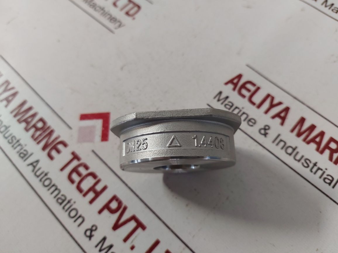 Pn40 Cf8M Non Return Valve Dn25