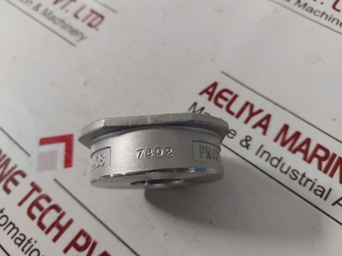 Pn40 Cf8M Non Return Valve Dn25
