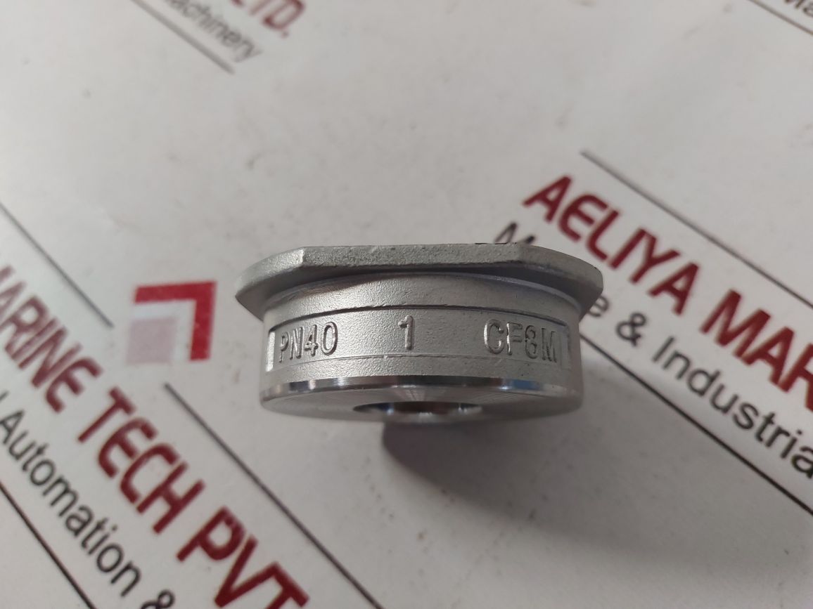 Pn40 Cf8M Non Return Valve Dn25