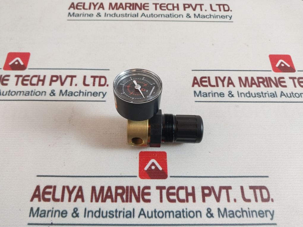 Norgren 18-013-211 Pressure Gauge Set 0-60 Psi