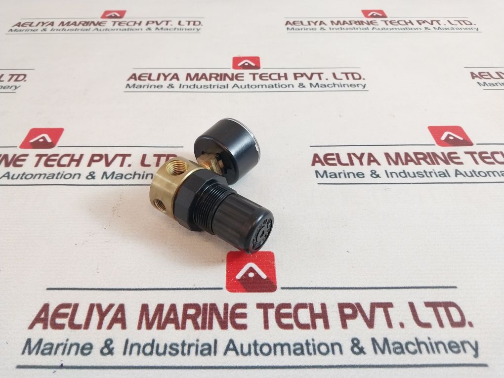 Norgren 18-013-211 Pressure Gauge Set 0-60 Psi