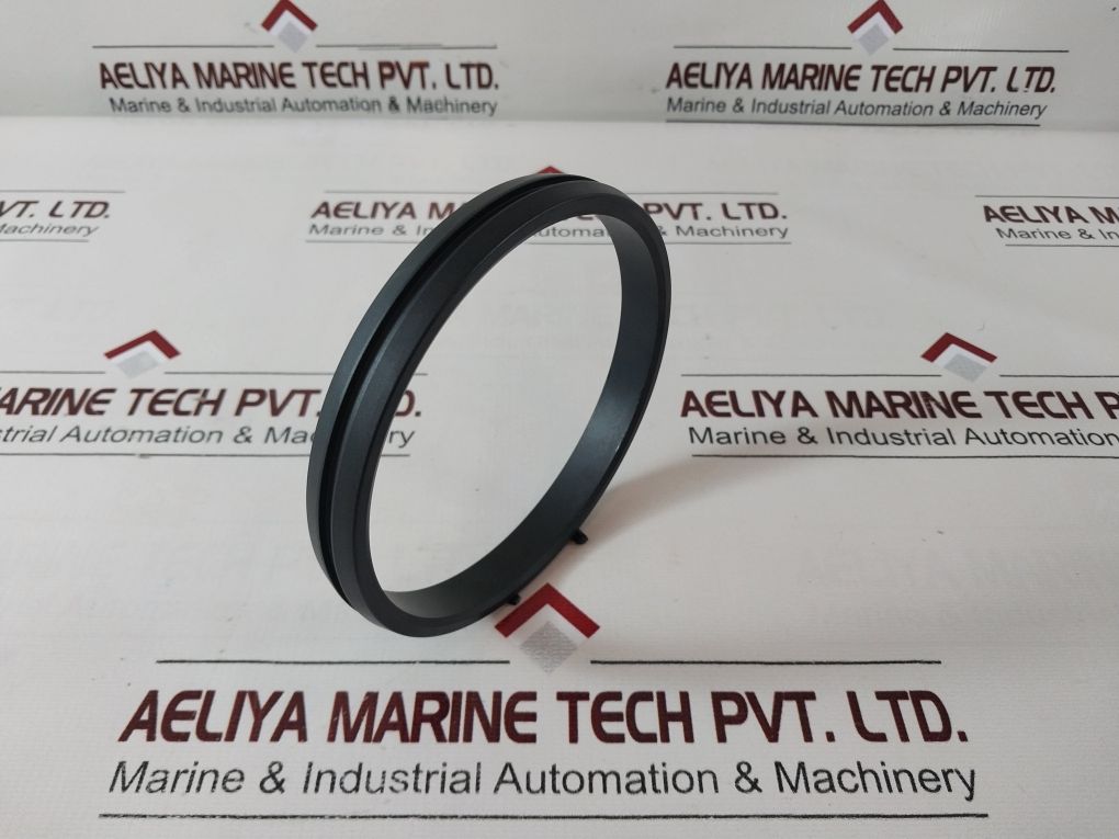 Norwegian Ix100F51 Seal Ring