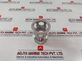 Nov 1006562 Cage Spm Valve