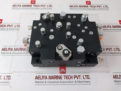 Nov 10141284-001 Manifold
