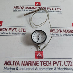 Nsf Component Model Ru Temperature Indicator
