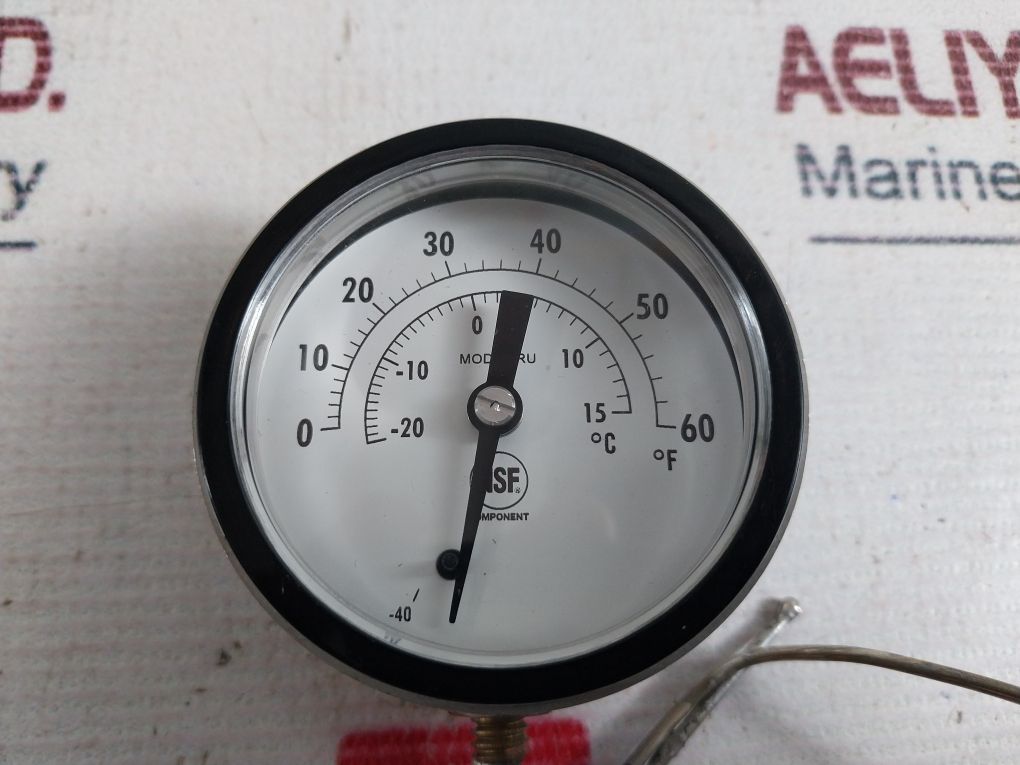 Nsf Component Model Ru Temperature Indicator