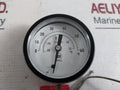 Nsf Component Model Ru Temperature Indicator