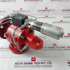 Nuflo 46038-311A34J-ps Safety Relief Valve Type Hl