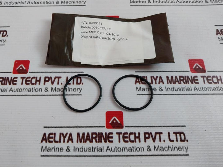 Oceaneering 100276Rk Valve Repair Kit