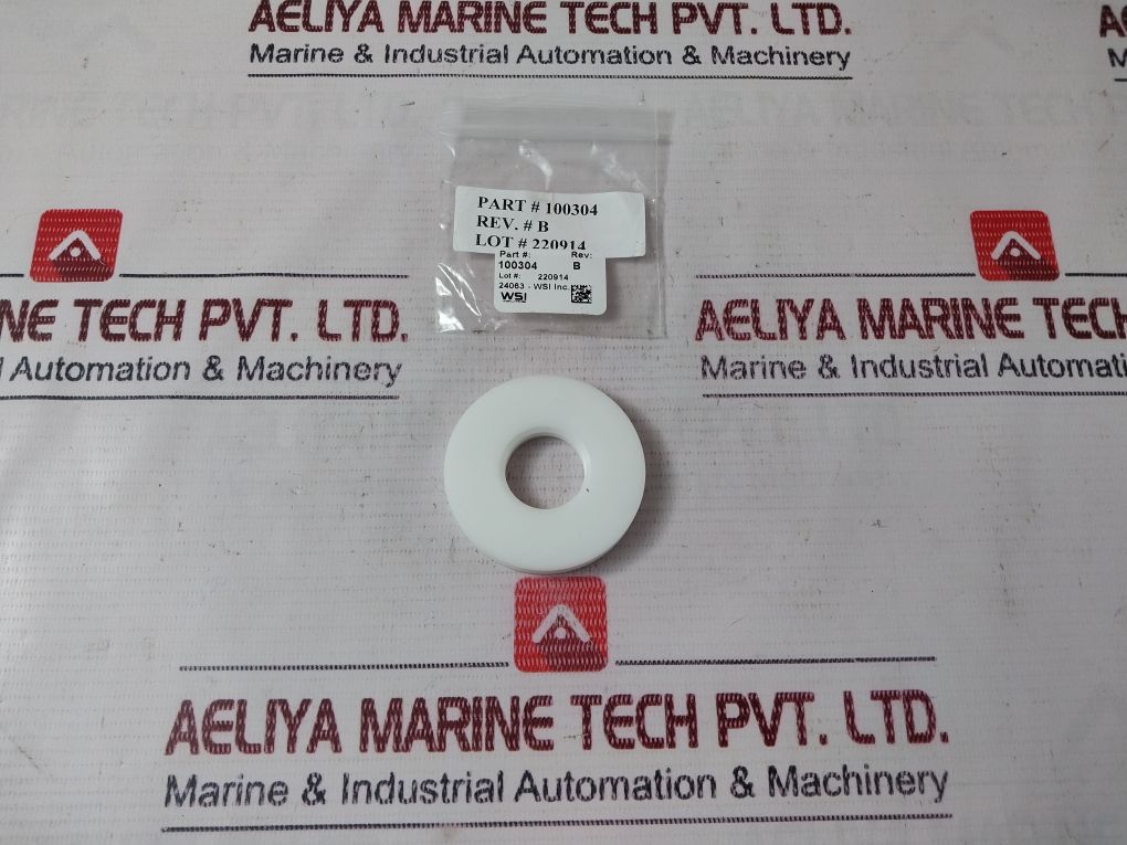 Oceaneering 100295-sk-90 Valve Seal Kit