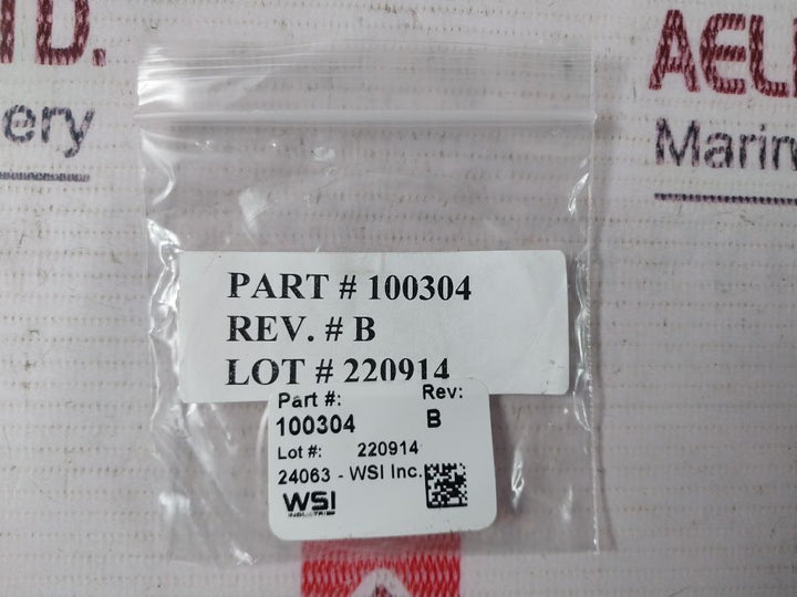 Oceaneering 100295-sk-90 Valve Seal Kit
