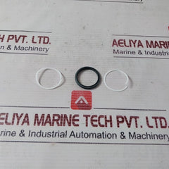 Oceaneering 100295-sk-90 Valve Seal Kit