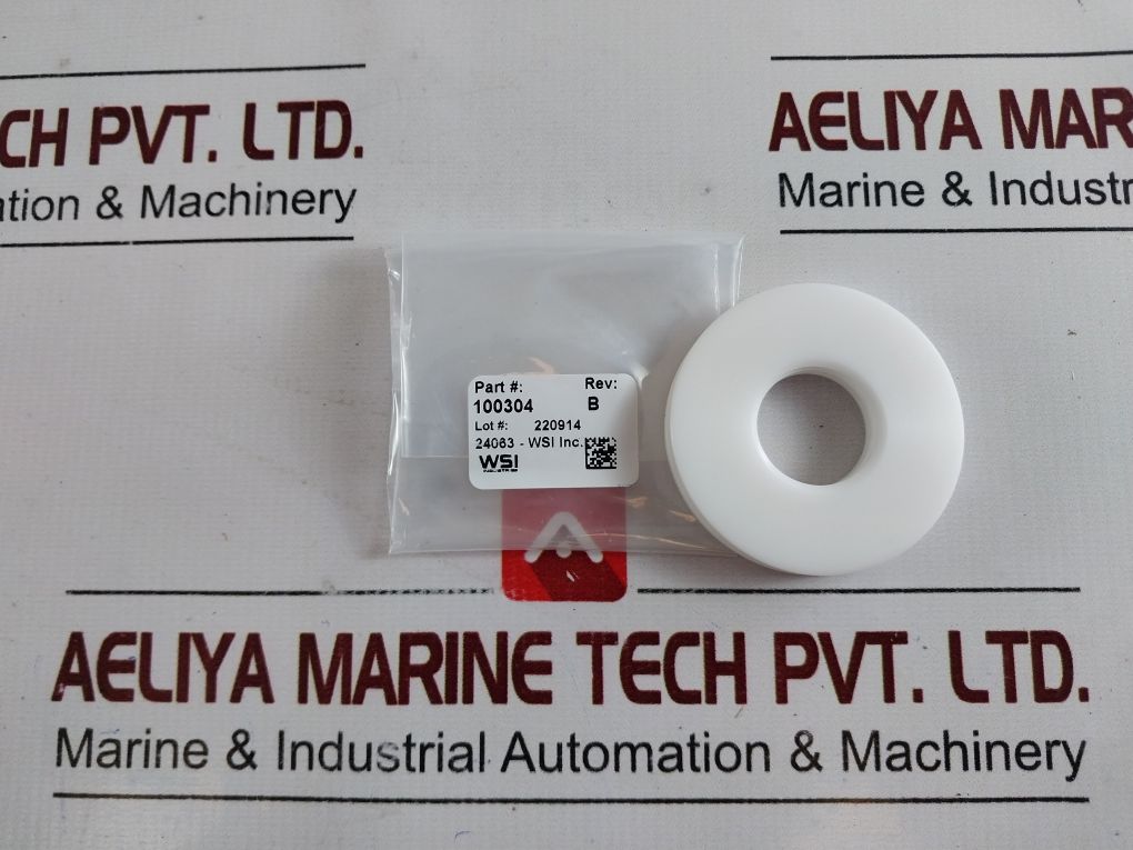 Oceaneering 100295-sk-90 Valve Seal Kit