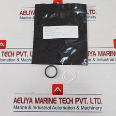 Oceaneering 100755-rk Repair Valve Kit