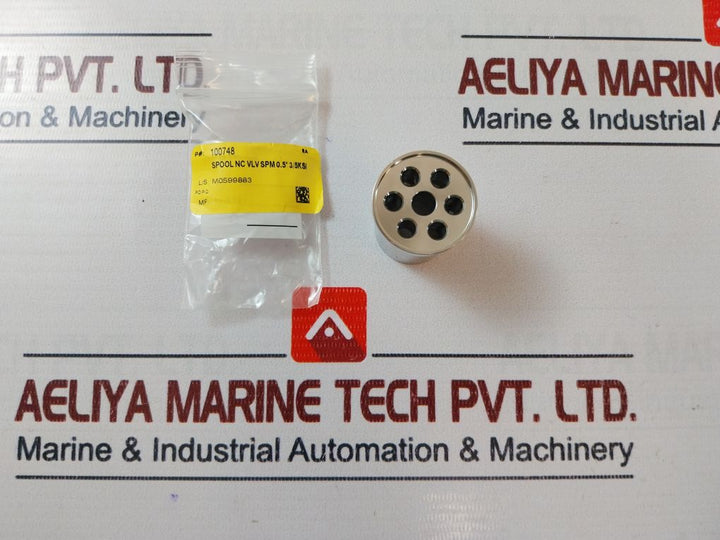 Oceaneering 100755-rk Repair Valve Kit
