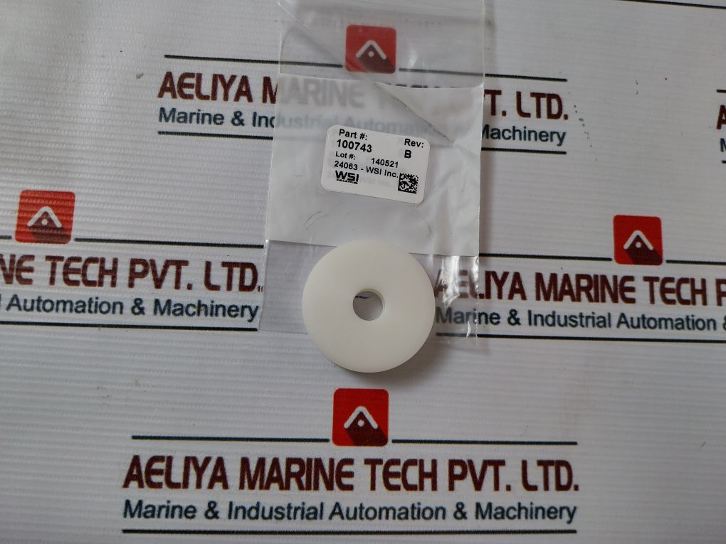 Oceaneering 100755Rk Repair Valve Spm Kit