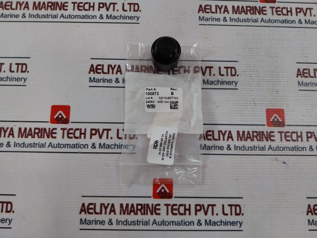 Oceaneering 100755Rk Spm Valve Repair Kit 100666-04