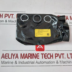 Oceaneering 100813-rk Repair Valve Spm 2Wno 1.5 In 5K Kit