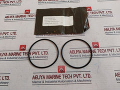 Oceaneering 100813-sk Repair Valve Kit 100366 C