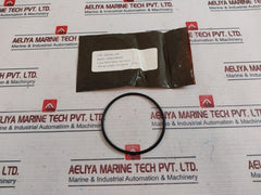 Oceaneering 100813-sk Repair Valve Kit 100366 C