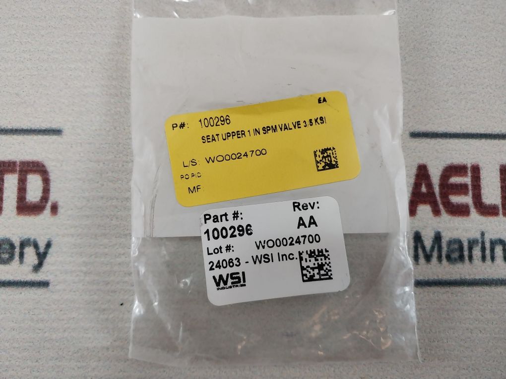 Oceaneering 100818-rk Valve Repair Kit