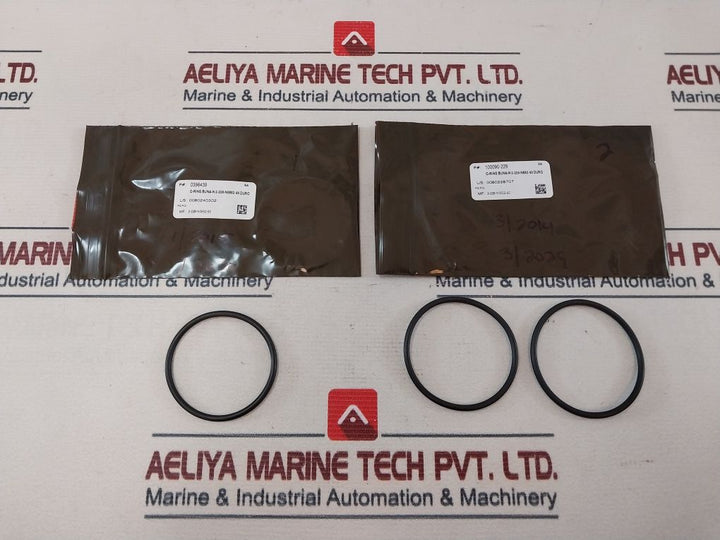 Oceaneering 100818-rk Valve Repair Kit