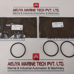 Oceaneering 100818-rk Valve Repair Kit