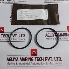 Oceaneering 100818-rk Valve Repair Kit Tp018 N4115 B011