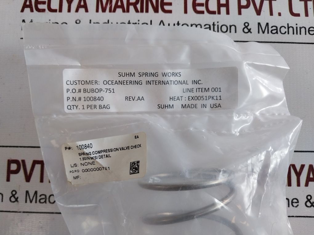 Oceaneering 100833-rk Repair Valve Check Kit