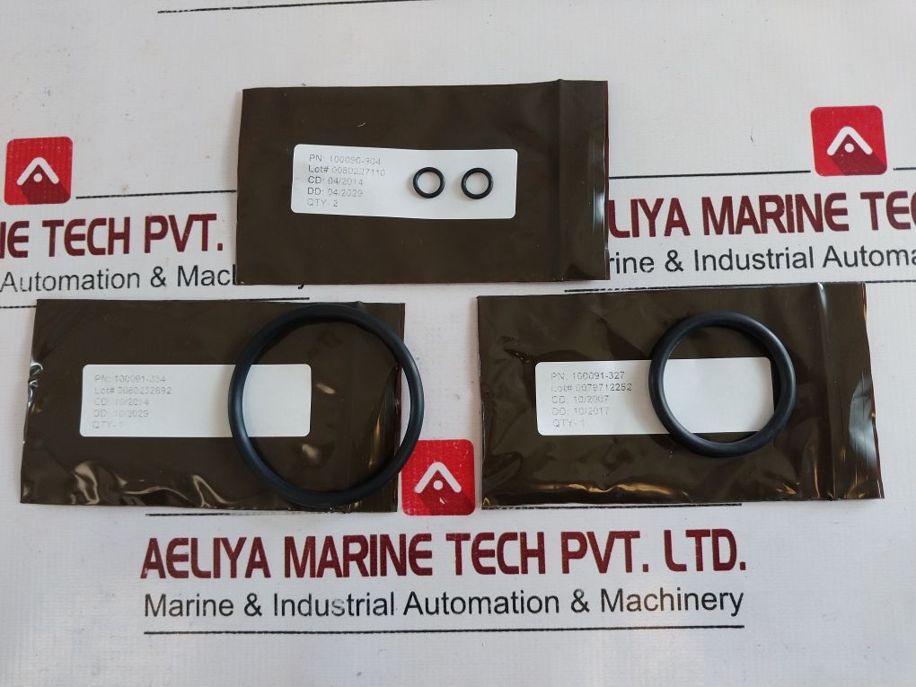 Oceaneering 100833-rk Repair Valve Check Kit