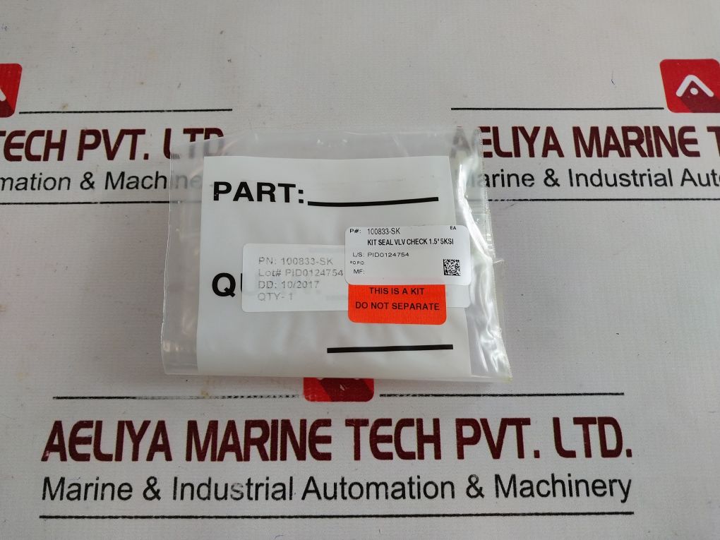 Oceaneering 100833-rk Repair Valve Check Kit