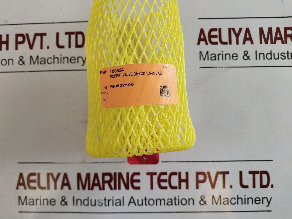 Oceaneering 100833-rk Repair Valve Check Kit